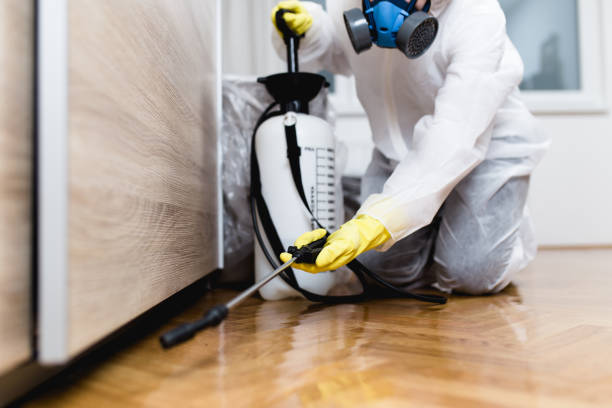 Best Termite Control Services  in Copiague, NY