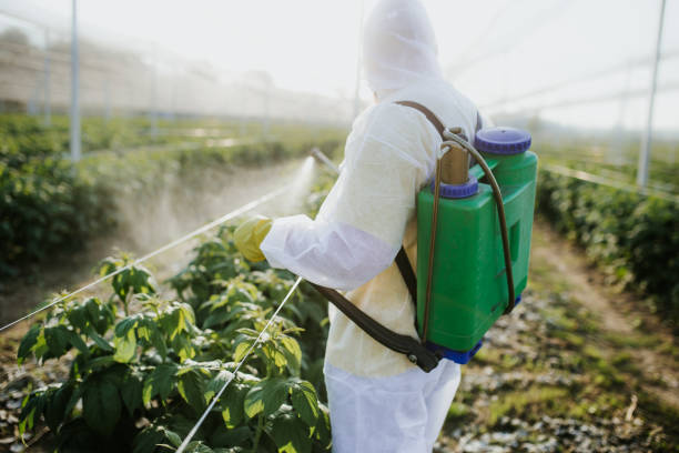 Best Commercial Pest Control Services  in Copiague, NY